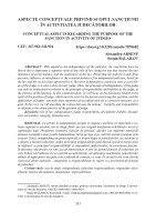 Apecte conceptuale privind scopul sancțiunii în activitatea judecătorilor